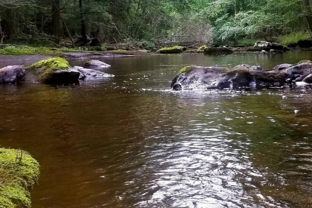 *Amenity-Filled Waterfront Oasis @Saw Creek Estates Near Waterfalls And Hiking* East Stroudsburg Buitenkant foto